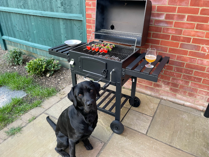 Milo, guarding the barbecue