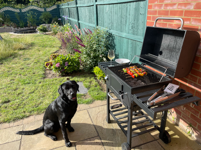 Milo, guarding the barbecue
