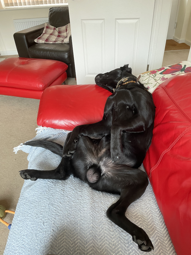 Milo power pose