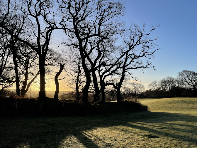 Buckland Rings