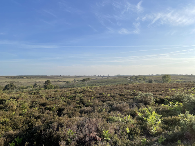 View across Backley Plain