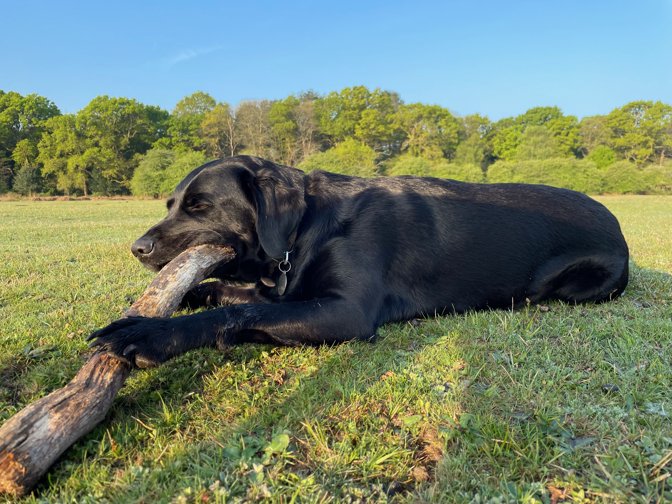 Milo playing the didgeridoo
