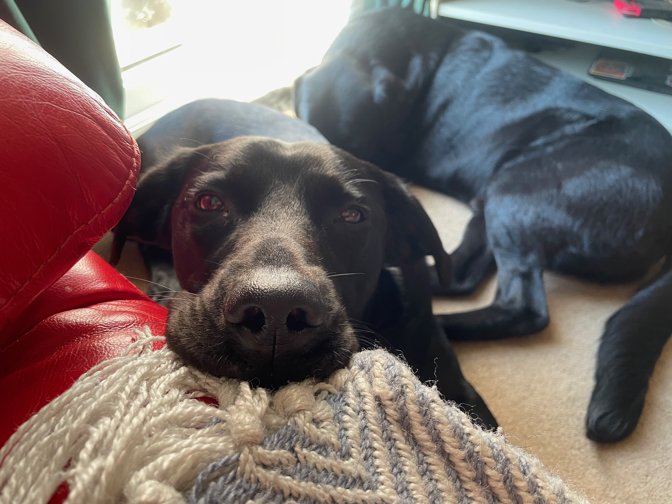 "How long until walkies?"