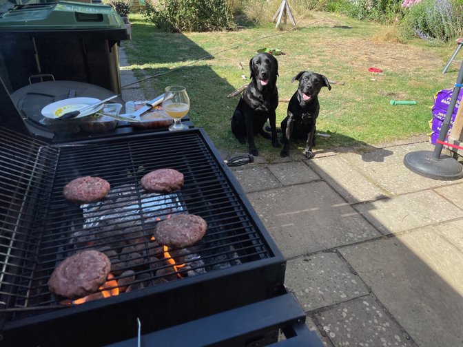 Waiting patiently for burgers