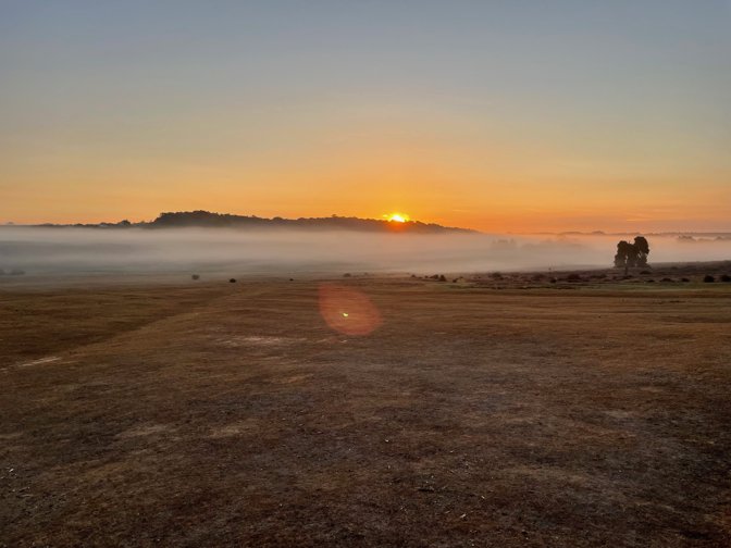 Sunrise over Hinchelsea Wood
