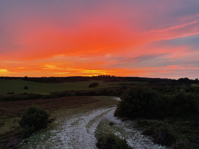 Sunset over Wilverley Inclosure