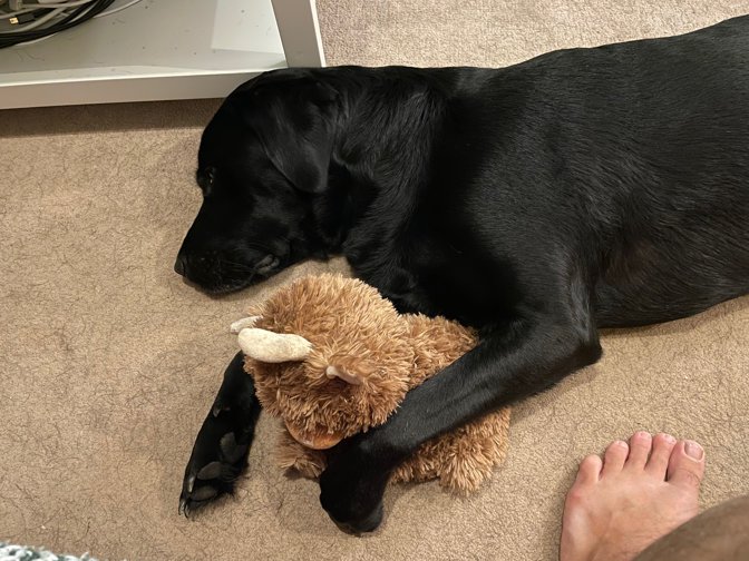 Milo sleeping with his teddy