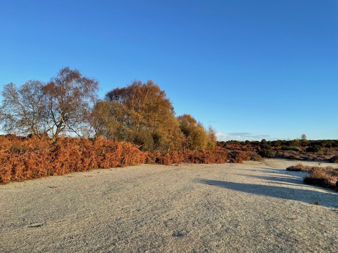 Beautiful autumn morning