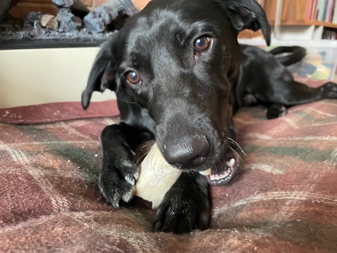 Ralph's second birthday